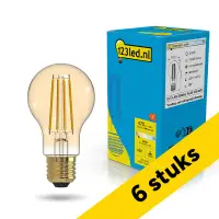 Aanbieding: 6x 123led LED lamp E27 | Peer A60 | Goud | 2100K | Dimbaar | 4.5W (40W) bij 123led