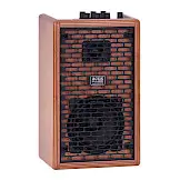 Acus One for Strings 4 Ferdi Cherry Wood Gitaarversterker bij Meibergen (Almelo)