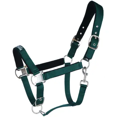 Agradi Horse Halster Athletic Fir Green bij Agradi