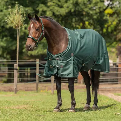 Agradi Horse Outdoordeken 1200D 50gr Reflecterende Bies Groen bij Agradi
