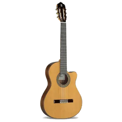 Alhambra 5p CW E8 semi-akoestische gitaar bij Music All In