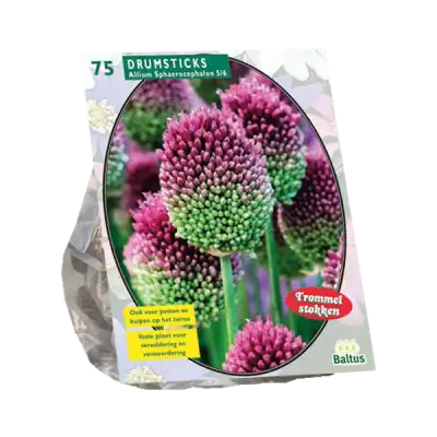 Allium Sphaerocephalon per 75 bloembollen Baltus bij Warentuin