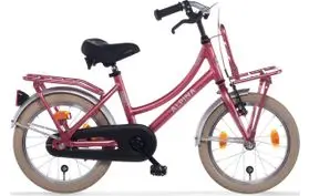 Alpina Cargo 16 inch Meisjesfiets 2026 bij 12GO Biking