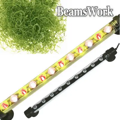 Aqua Light LED wierenlamp waterdicht rood / wit (Wierenlamp) bij Ocean Store (zeeaquarium-winkel.nl)
