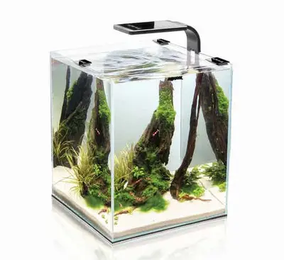 Aquael Day & Night set 10, 20 of 30 liter bij Aquaria Pura