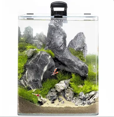 Aquael OptiBent Nano Aquarium Set 20 & 30L bij Aquaria Pura