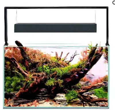 AquaEL UltraScape 60 forest set of 90 forest aquarium set Optic White glass inclusief luxe LED bij ShrimpMania Soest