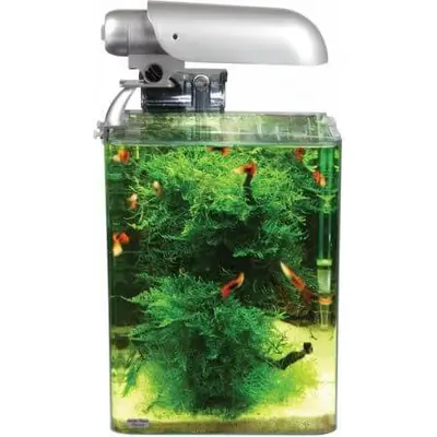 Aquarium COCOON 1 (10 L) 20x20x25H bij Ocean Store (zeeaquarium-winkel.nl)