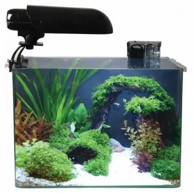 Aquarium COCOON 5 (21,5 L) 35x22x28H bij Ocean Store (zeeaquarium-winkel.nl)