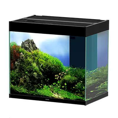 Aquarium Emotions Nature Pro New Zwart bij Heevis