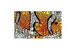 Aquarium Mat – Clownfish Artwork (45 cm x 75 cm x 5 mm) bij Aquaasan Corals