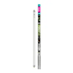 Arcadia T5 Reptielen Lamp 6% UVB D3 24W 55cm bij AvonturiaShop