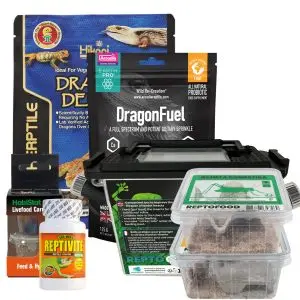 Baardagaam Starters Kit Voeding - Complete Voeding Kit Baardagaam bij Fritskuiper