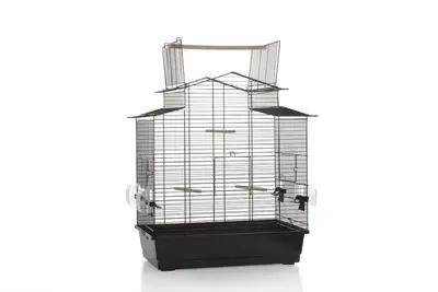 Beeztees Big Iza 3 - Vogelkooi bij Welkoop