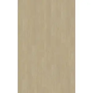 Belakos Portico 570 Dryback PVC vloer - 2.5/0.55 x 250 x 1530mm - 3.83m2 bij Kwaliteitparket