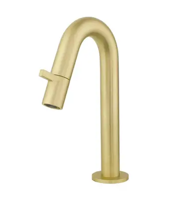 Best Design Luxerio Line Sereno fontein 21 cm mat goud bij SaniSupreme