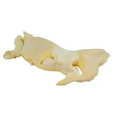 Billie’s hondensnack runderneus honing cm 1 stuk bij Prima Diervoeding