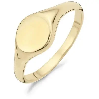 Blush zegelring goud 1190YGO/56 bij Juwelier van Dam