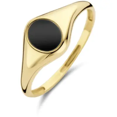 Blush zegelring goud 1219YON/52 bij Juwelier van Dam