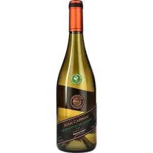 Bodegas Carrau Chardonnay Reserva bij Drankgigant
