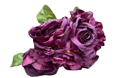 Boeket nieuwe fuchsia rozen en hortensia's Buitengewoon de Boet bij Warentuin