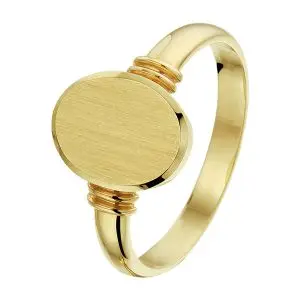 Bouman Goud Collectie 14 karaats Geelgouden Zegelring ringmaat 17 bij BoumanOnline