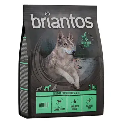 Briantos Adult Lam & Aardappel - Graanvrij Hondenvoer 4 x 1 kg bij Zooplus