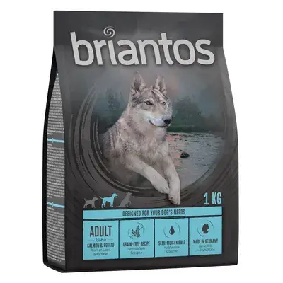 Briantos Adult Zalm & Aardappel - graanvrij Hondenvoer Voordeelpakket: 4 x 1 kg bij Zooplus