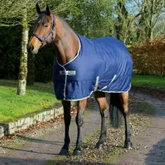 BUCAS FREEDOM STALDEKEN 300 Donkerblauw bij De Kroo Ruitersport