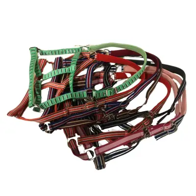 Budget Rider Stripe Halster maat:full bij Paardensportwebshop