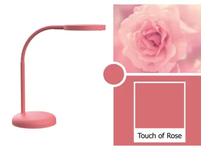 bureaulamp MAULjoy, LED-lamp, roze bij DiscountOffice.nl
