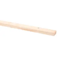 CanDo steigerhout vuren lat ruw 30x62mm 250cm bij Hubo