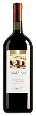 Cantine Due Palme Negroamaro del Salento Domiziano magnum 2022 bij Whiskyshop.nl