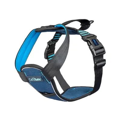 CarSafe Crash Tested - Hondentuig bij Medpets