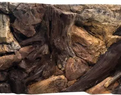 CeramicNature Root Achterwand bij Reptiles Twente Webshop