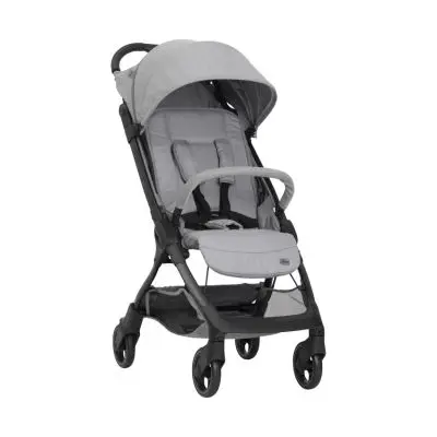 Chicco We 2 Buggy - Pebble bij Babypark
