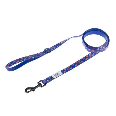 DC Superman hondenriem 200 cm lang, 20 mm breed bij Bitiba
