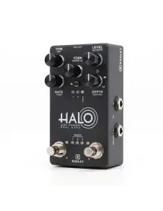 Delay/reverb gitaar bij Schreeven Muziekinstrumenten