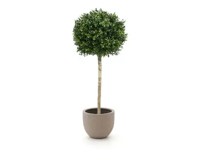 Designplants/Luca Lifestyle Buxus bol kunstboom (h:110cm) met Terreno New Egg bloempot bij Kees Smit Tuinmeubelen