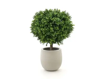 Designplants/Luca Lifestyle Buxus bol kunstplant (h:50cm) met Grigio Balloon bloempot bij Kees Smit Tuinmeubelen