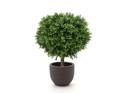 Designplants/Luca Lifestyle Buxus bol kunstplant (h:50cm) met Terreno New Egg bloempot bij Kees Smit Tuinmeubelen