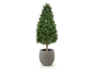 Designplants/Luca Lifestyle Buxus tower kunstplant (h:140cm) met Grigio Balloon bloempot bij Kees Smit Tuinmeubelen