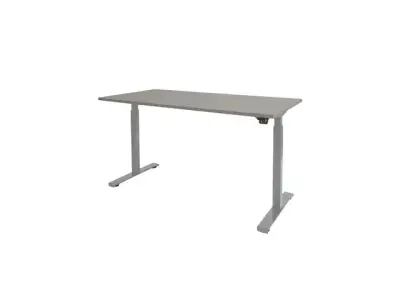 Dextro Basic Zit-sta Bureau Elektrisch 120x80 Grijs 25mm Alu bij DiscountOffice.nl