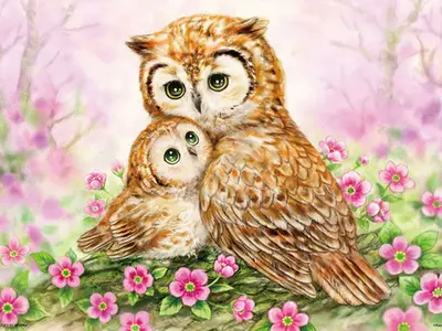 Diamond Painting - 2 uilen - 30 x 40 cm bij HobbyVision