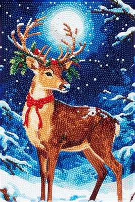 Diamond painting kit - 20x30 cm - rendier bij Pipoos