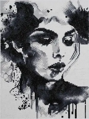 Diamond painting kit - 30x40 cm - zwart/wit gezicht bij Pipoos