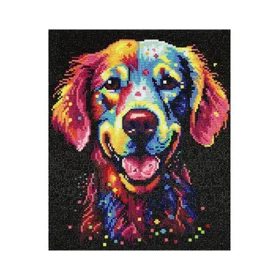 Diamond painting kit - 33x40 cm - hond lichtgevend bij Pipoos