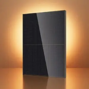 DMEGC 465Wp Glas-Glas All Black Zonnepaneel bij Zonnige Winkel