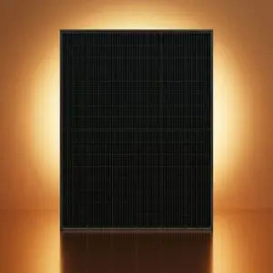 DMEGC 470Wp Glas-Glas All Black Zonnepaneel bij Zonnige Winkel