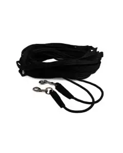 Dubbele longeerlijn QHP bij Drunens Ruiterhuis